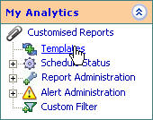 The My Analytic Template Menu